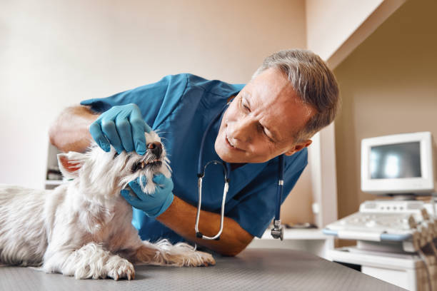Best Emergency Tooth Extraction in Millersport, OH