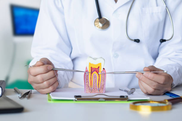 Best Same-Day Emergency Dental Services in Millersport, OH